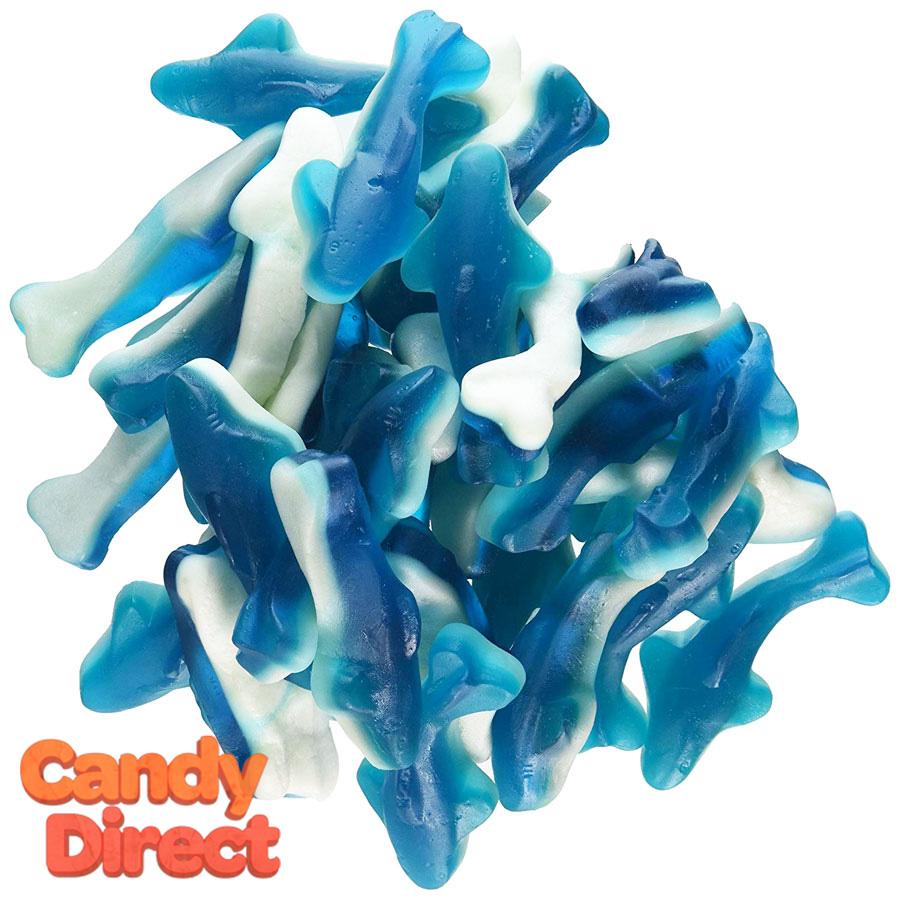 Gummy Sharks Blue With White Bottoms